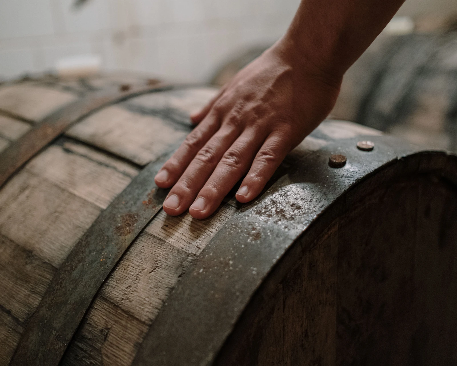A hand resting flat on the head of a charred oak barrel in a dim cellar, rows of barrels receding behind it.